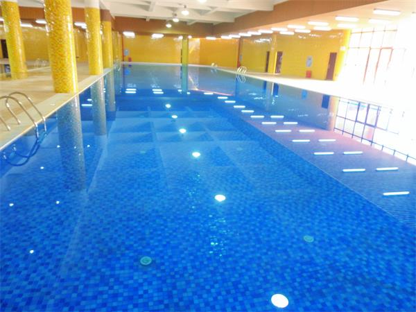 游泳池水泵廠家,泳池水泵廠家,游泳池水泵